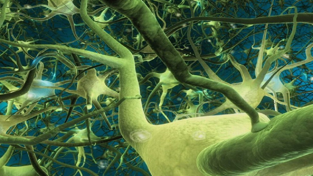 What the Bleep! Collection background